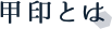 甲印とは
